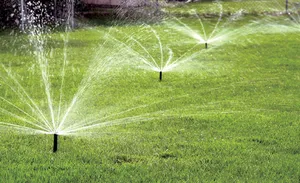 Sprinkler Heads