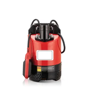 Submersible Pump